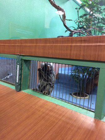 Urayasu City Traffic Playground